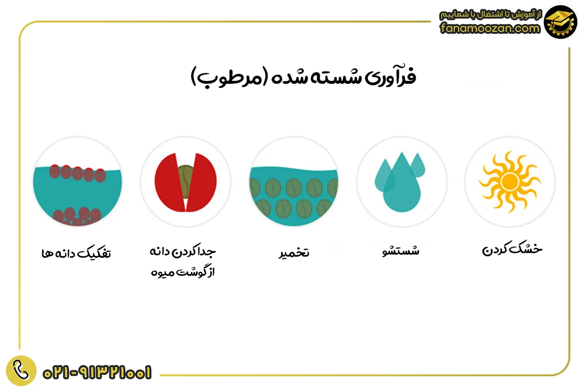 فرآوری شسته شده (مرطوب)