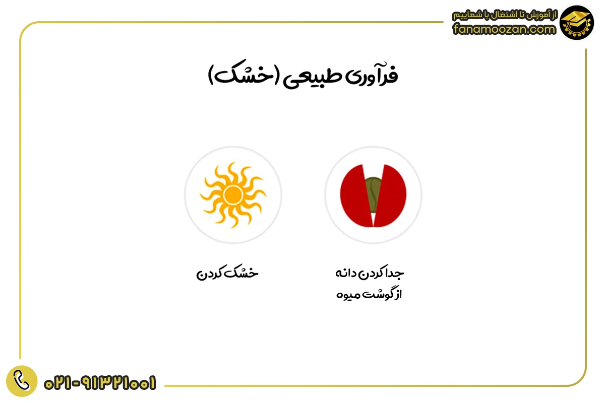 فرآوری طبیعی (خشک)