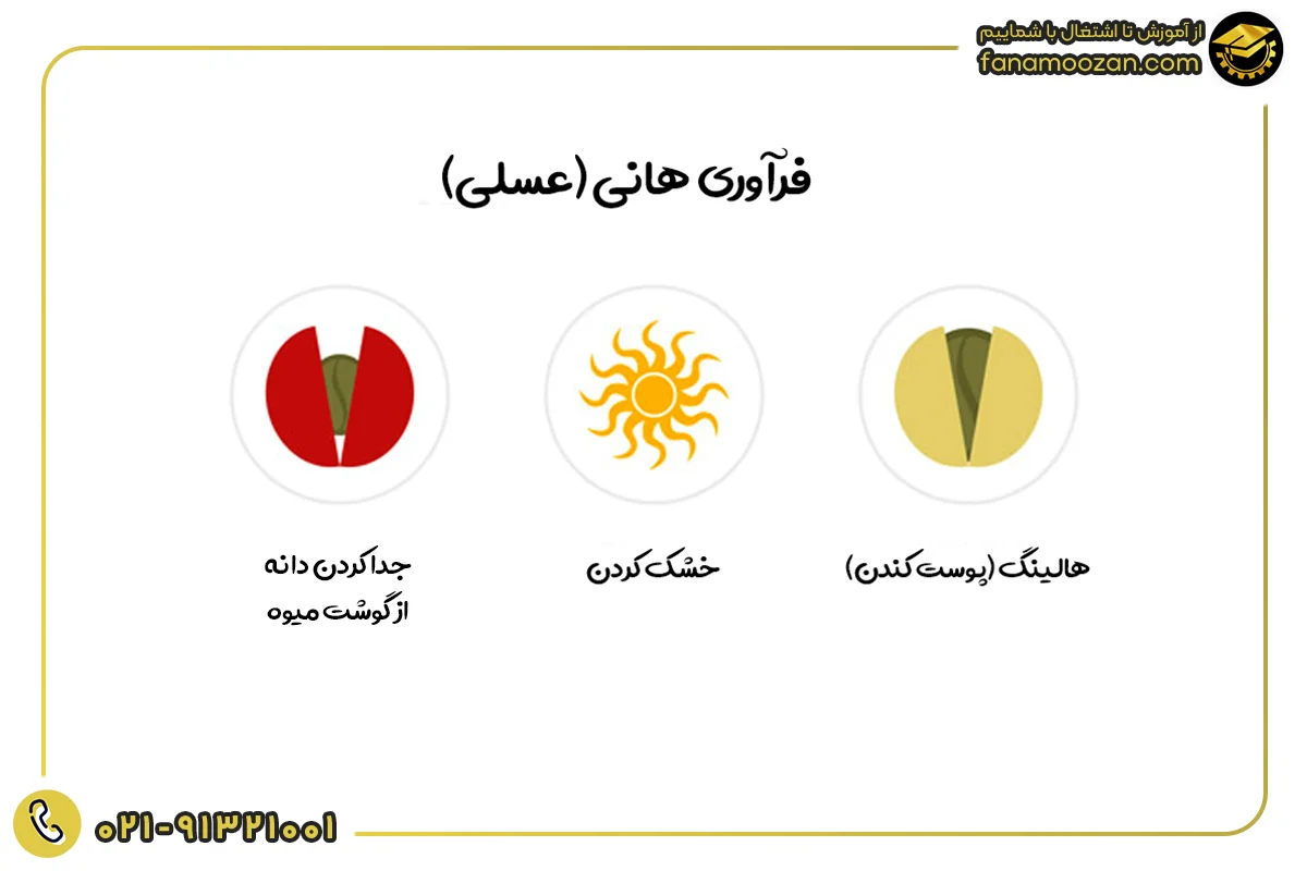فرآوری هانی (عسلی)