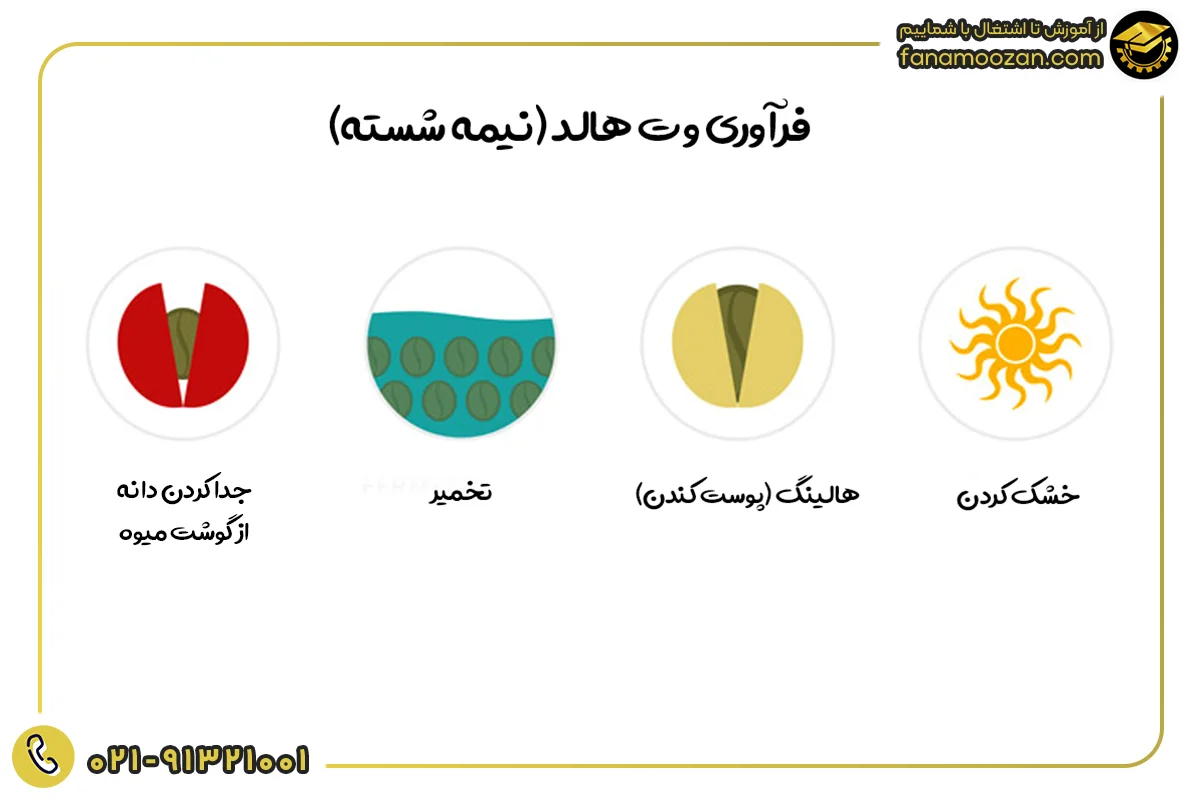 فرآوری وت هالد (نیمه شسته)
