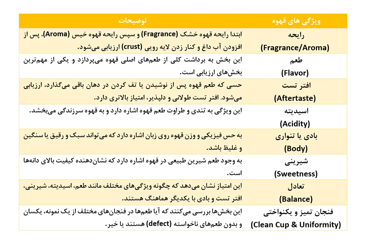 جمع‌بندی امتیازات و نتیجه‌گیری نهایی2