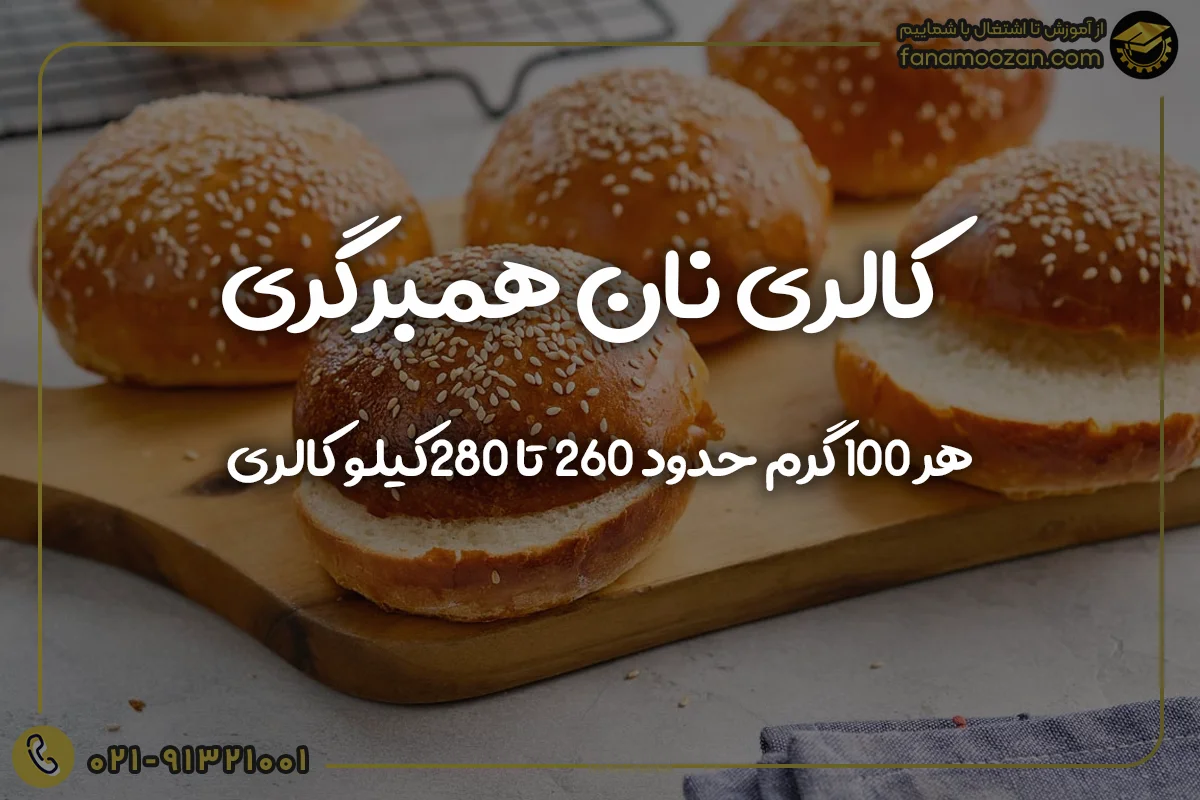 کالری نان همبرگری
