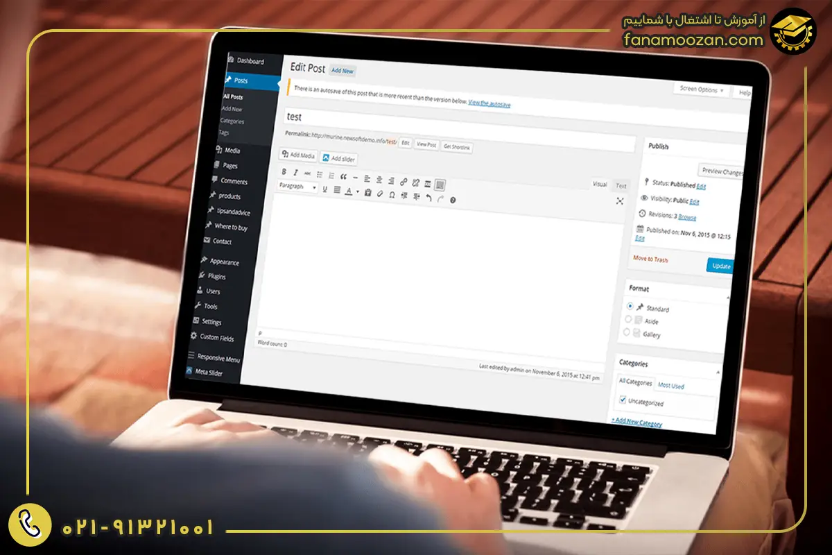 اهمیت یادگیری توسعه سفارشی در وردپرس